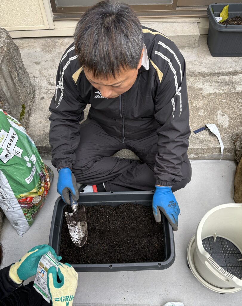 フリースクール「学び舎魚吹の風」では野菜作りを始めました。今回はチンゲン菜です。