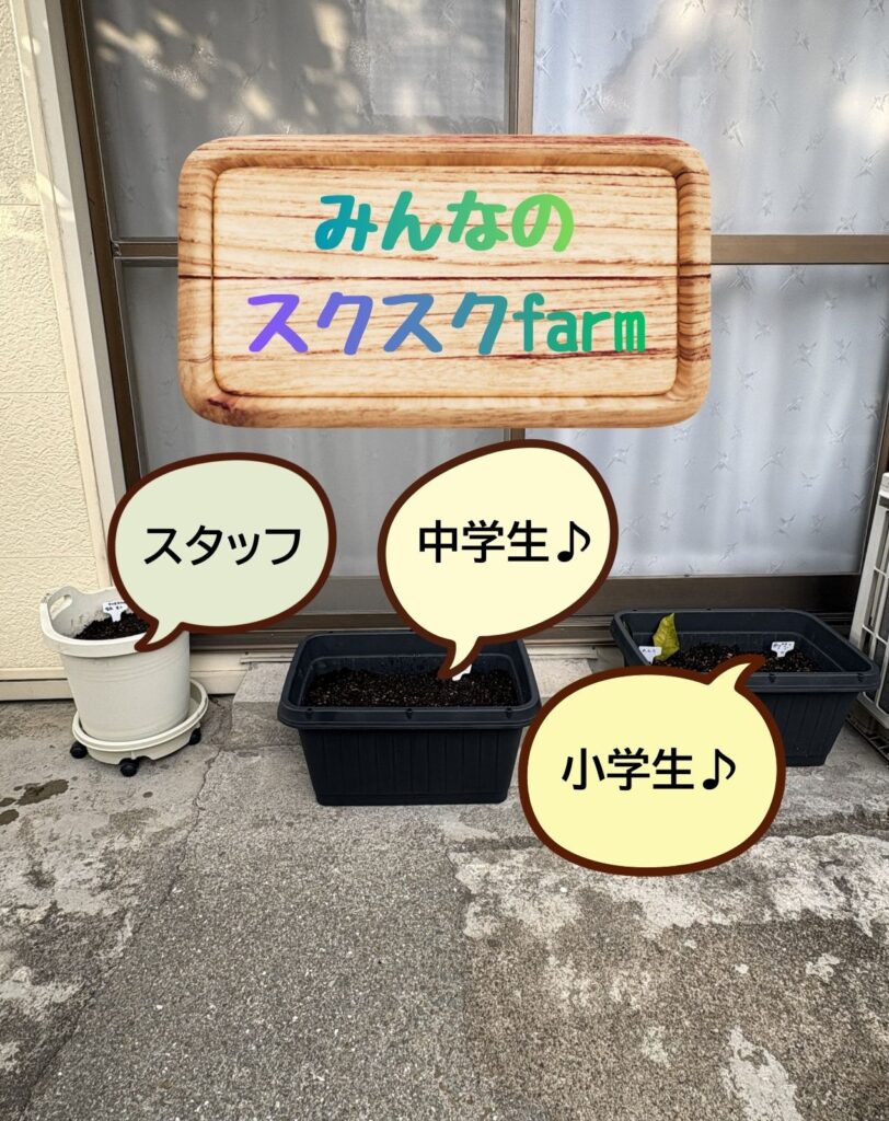 フリースクール「学び舎魚吹の風」の児童生徒とスタッフのプランターに「みんなのスクスクfarm」と名付けてくれました。